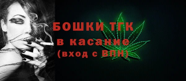 2c-b Каменногорск