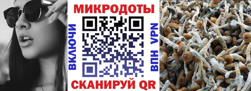 Галлюциногенные грибы мицелий Георгиевск